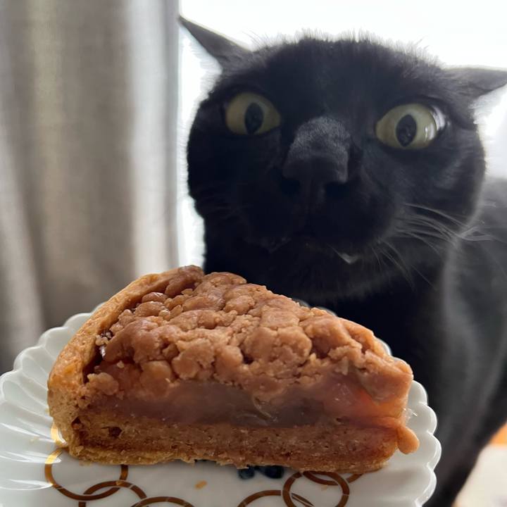 5584c3e5 2284 47a4 8914 2dfe57484531 1682303301998