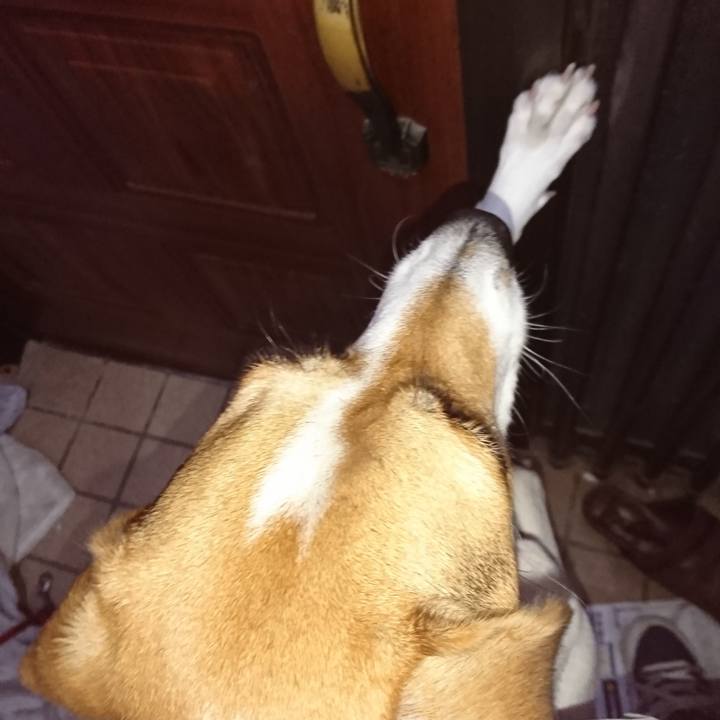 5584dad0 d750 4551 bccc 0154dea05871 1570706459854