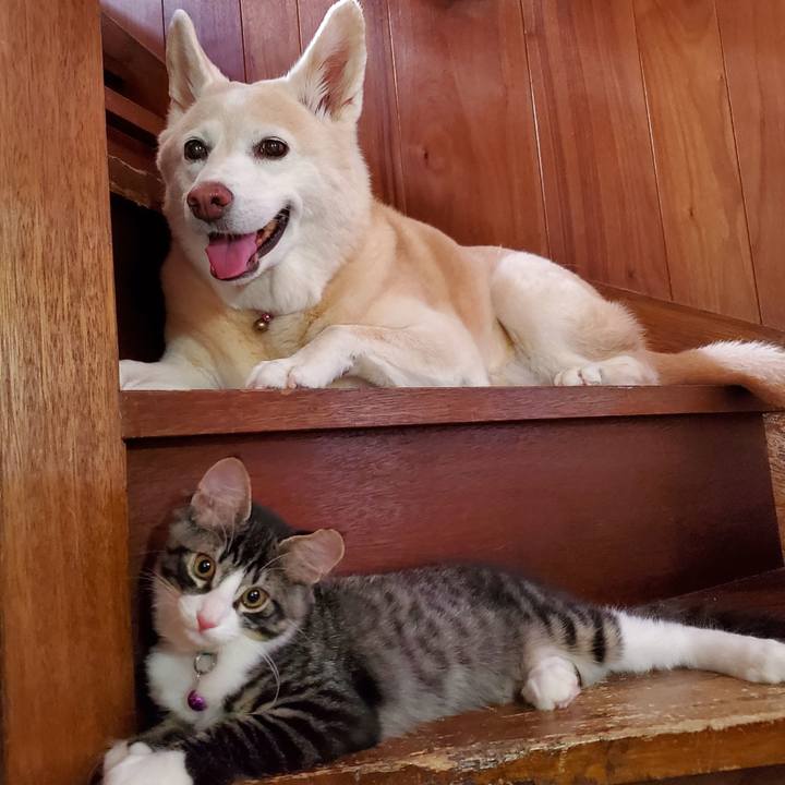 55851156 6f52 4389 8e47 76a1b285716d 1630206989640