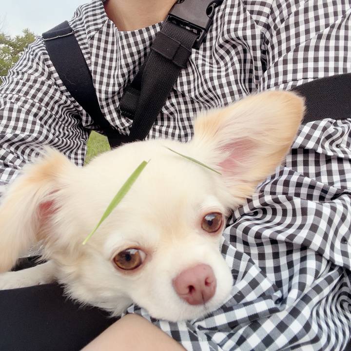 558553eb 544f 409c 84ea a83cdc9d1c49 1695979996368