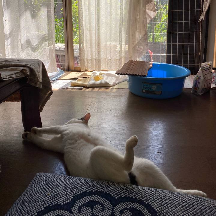 55857484 52d7 44c6 981e 1d6c68fb8322 1599530373910