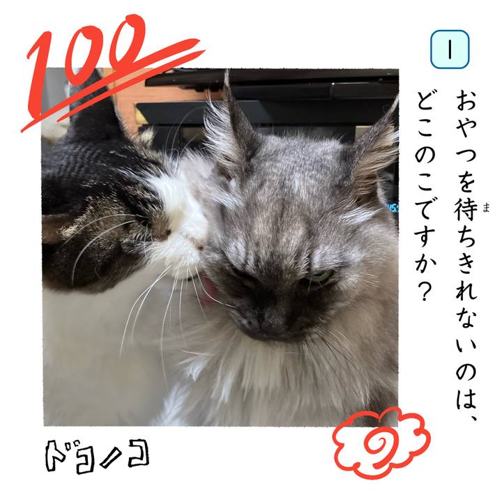 5585b355 6152 4925 b1ea c2a825d85606 1744798933884