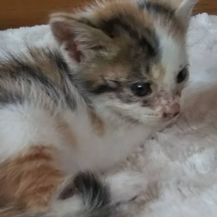 5585e30b 0936 48f8 b4a5 5eb07cfa01f6 1631952142107