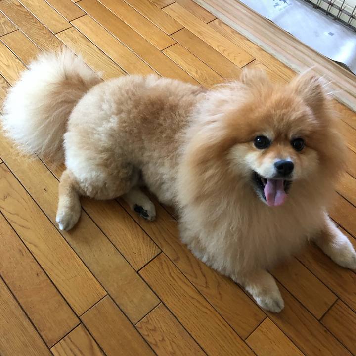 5585ea6b 6b75 45e7 a301 41f42533bea7 1561508239081