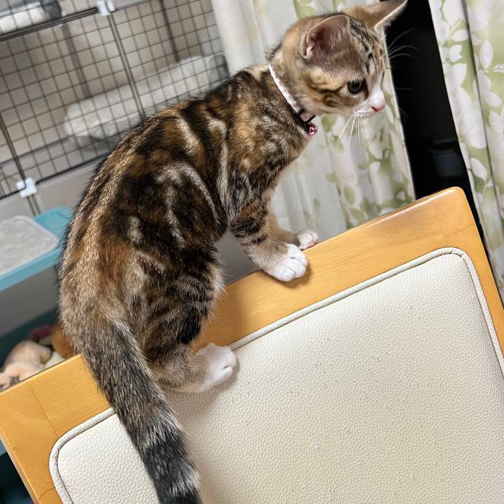 5585fa81 b2c8 4a30 83d2 3f09c4bc72bd 1695463997698