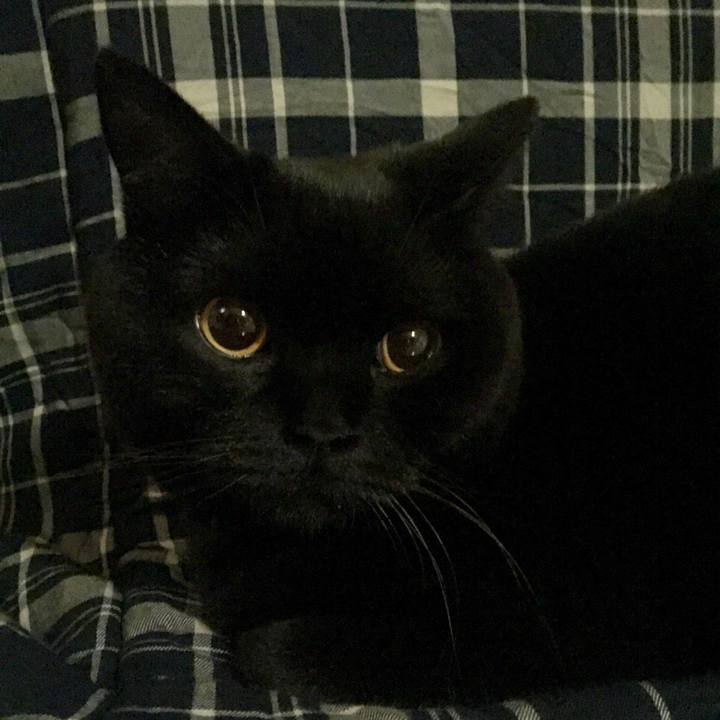 55869672 7e55 4ad8 bcdf 914c81bdf9c0 1547816022187