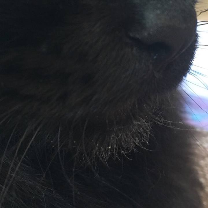 55869ea1 a920 4601 9339 d71c025fe231 1528271983017