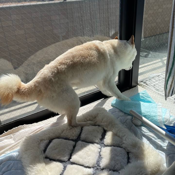 5586ee29 2a66 482f 8df7 cab6d1a210ac 1646550093416