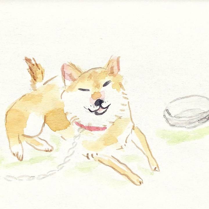 5586f06e f381 4a8b a405 38da8029c535 1644535930358