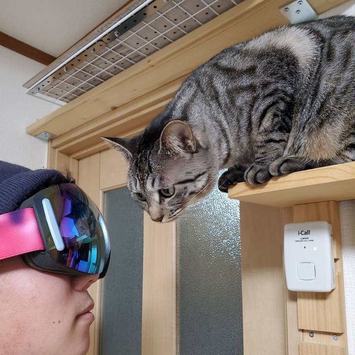 5586fa6c 7f7f 412f ac0e dbffb354bacf 1705635797213