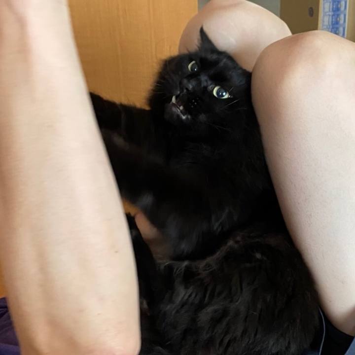 5586fadc 7a03 4687 87c4 9c60045cc99e 1595828912093