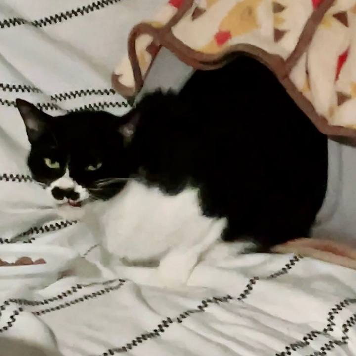 5587c10a c8f4 4f23 9f83 9ec9bc73848b 1673859634692