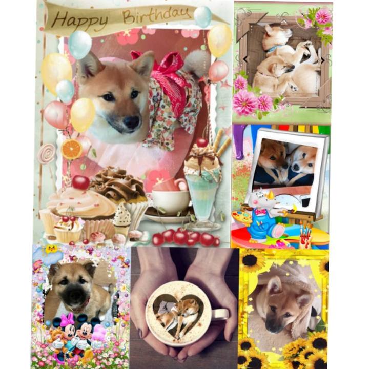 5587d694 d1bd 4db5 a048 d7d0c9840144 1562071372621