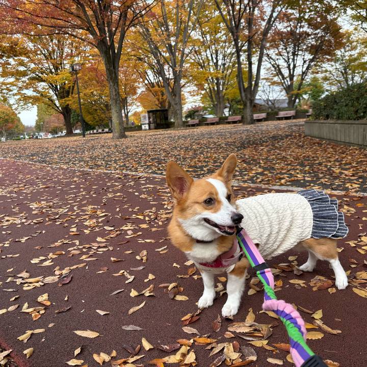 5587da2e f3dd 4bea 80bd 3e8eb3d08b8a 1763283272975