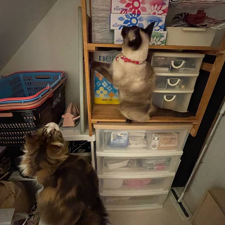 558822e6 cd1e 4f18 bac8 e30b350beb55 1736285083936