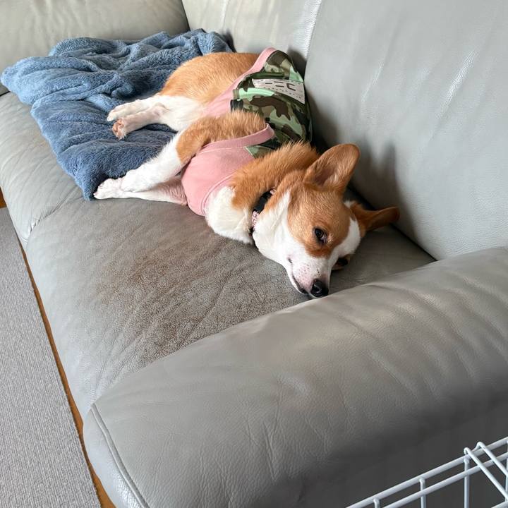 55883292 1431 472e 9c21 86e7ac26f4ef 1771505884383