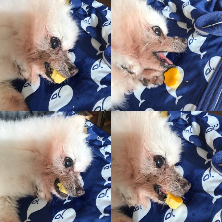 55883bdc e155 402e a391 3c225b5dc256 1533677811864