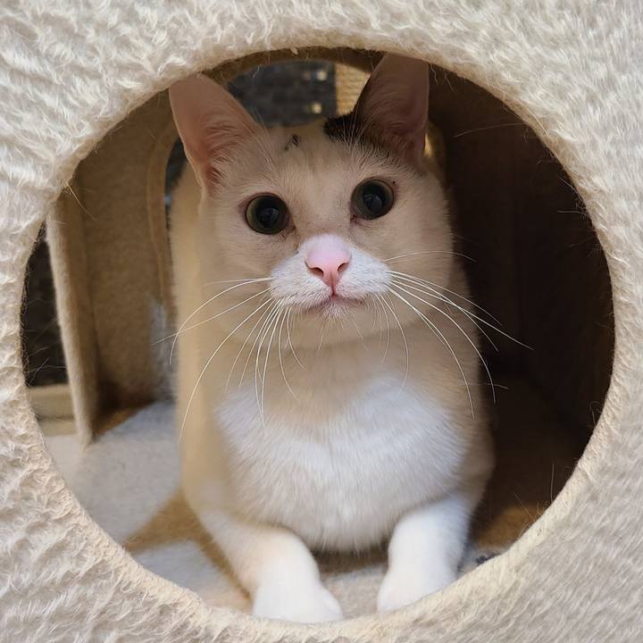 55885e29 b5b9 49ee bc7e 79bc820530d0 1602858141151