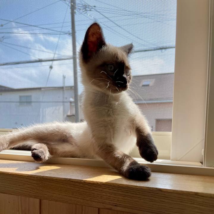 558883ab 5391 4a8f a007 1e48a3046235 1689572855286