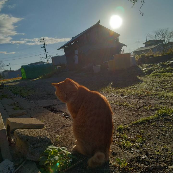 55888413 5d89 485e b3ca 620329b67557 1667689452358