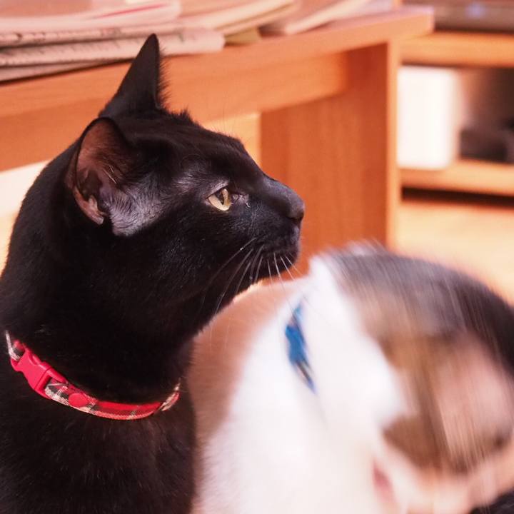 55889be4 126a 4c7b 9fd8 98f36bdb9f28 1546903925171