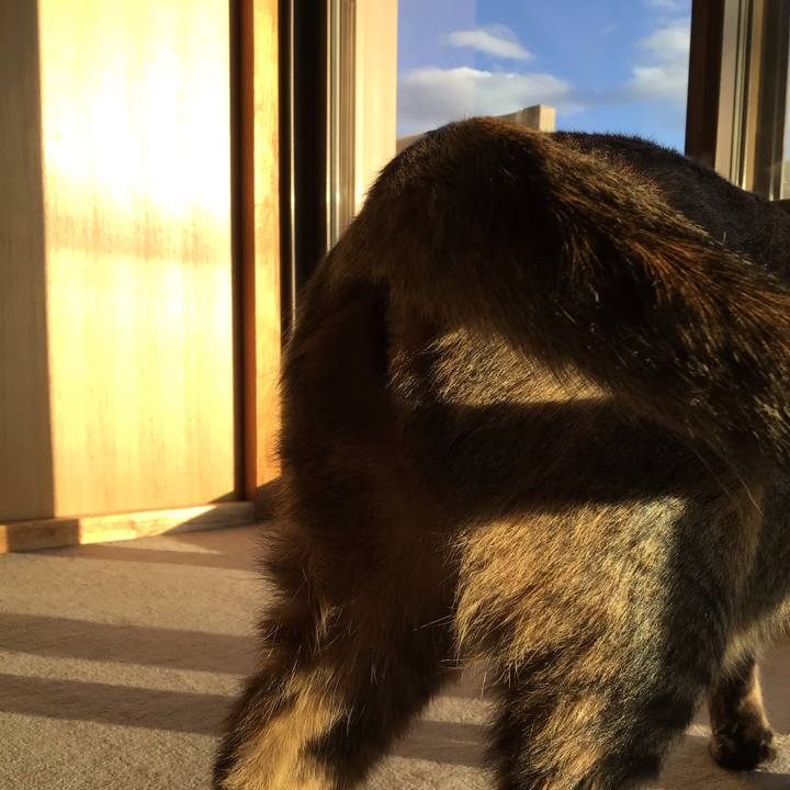 5588adf6 29b1 41f4 9dfa 608756ba3f67 1606548972728