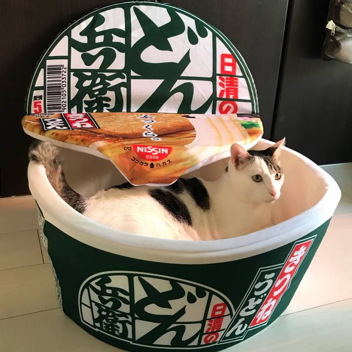 5588cf32 9440 4c20 b24e 08f93ac03356 1613445194104