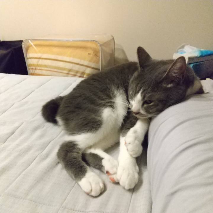 5588d7e8 5c1d 41f7 a61d a4cfaaa3e96f 1650974328283