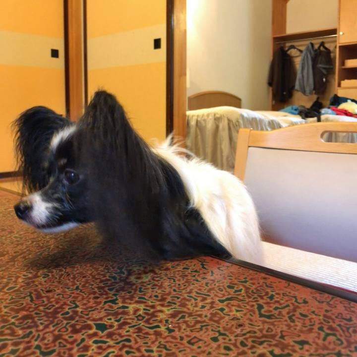 55892dce 214a 40ef 8a0e 325d16d41dea 1534492993672