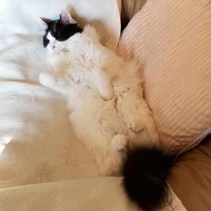 55893114 9f8c 4443 9bdb ac0ef81fd694 1573807628280