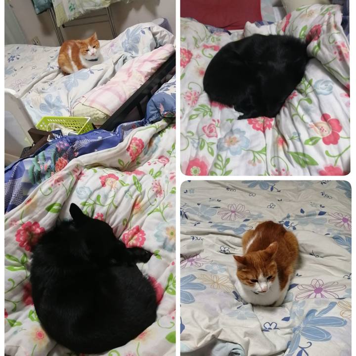 558980fd f487 4bac b9b5 251dec22fba6 1618752291901