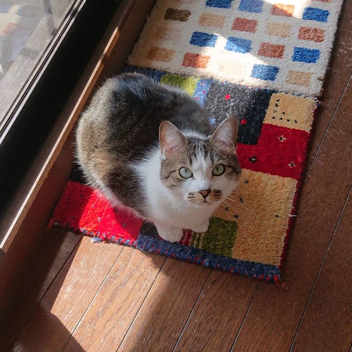 5589b1d2 e2b8 4ab8 b70c 4c0c73b51f2f 1710393684836