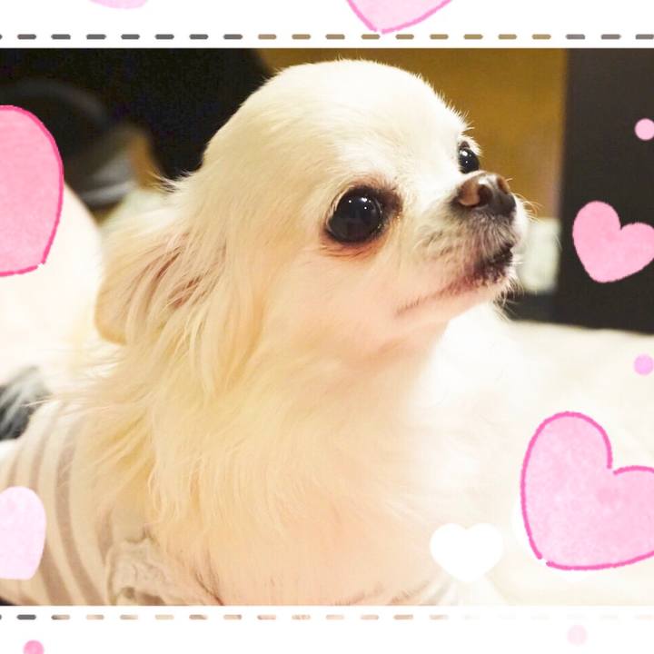 558a154e b4b7 494e bd0d 2a79cf45c3e1 1550889690680