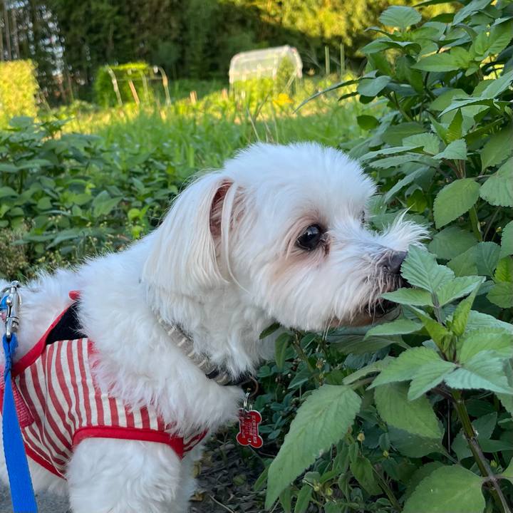 558a45dd ed25 4b9b a66f 5d495055fd47 1689818849842