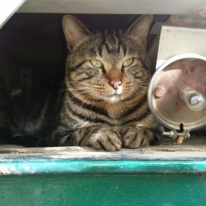 558a5308 00c8 474a bfd0 78de5651f521 1510632409839