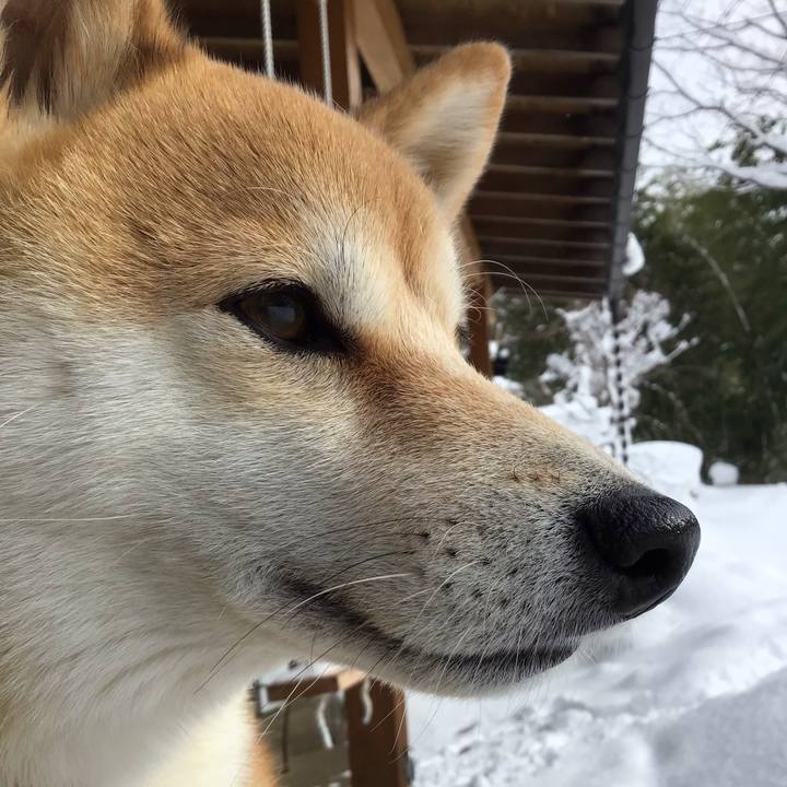 558a99ef a67a 4fba b52b 58e67eeba624 1640951728829