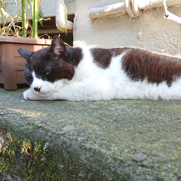 558a9cb4 35c7 4ae4 b63a f5da7c868328 1689497197594