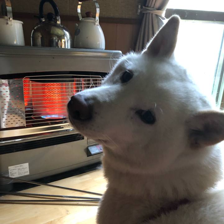 558abe47 ca19 4926 939f 2e9511450595 1588110509076