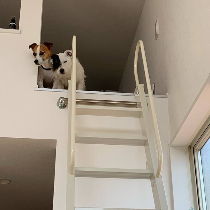 558ac216 f7f9 4ed7 ac24 ad910751f50d 1564031388280