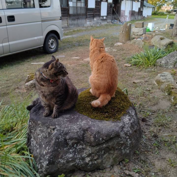 558b13bc 4f1e 4146 b2f9 5e2d758680ea 1686130846097