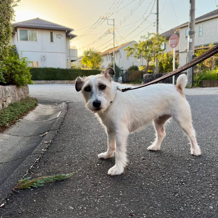 558b98ae 8499 475a b154 147e757dc339 1760450500187