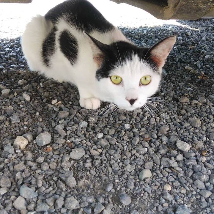 558befb2 23cb 48c7 a951 04bdd0228cfc 1601639486983