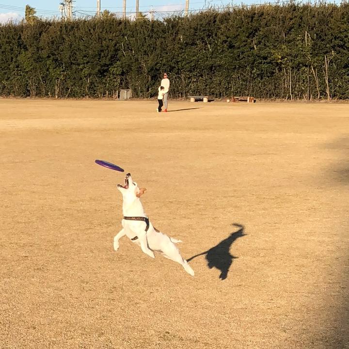 558c0522 616e 4e6b a1d1 238c62239ed2 1515831480262