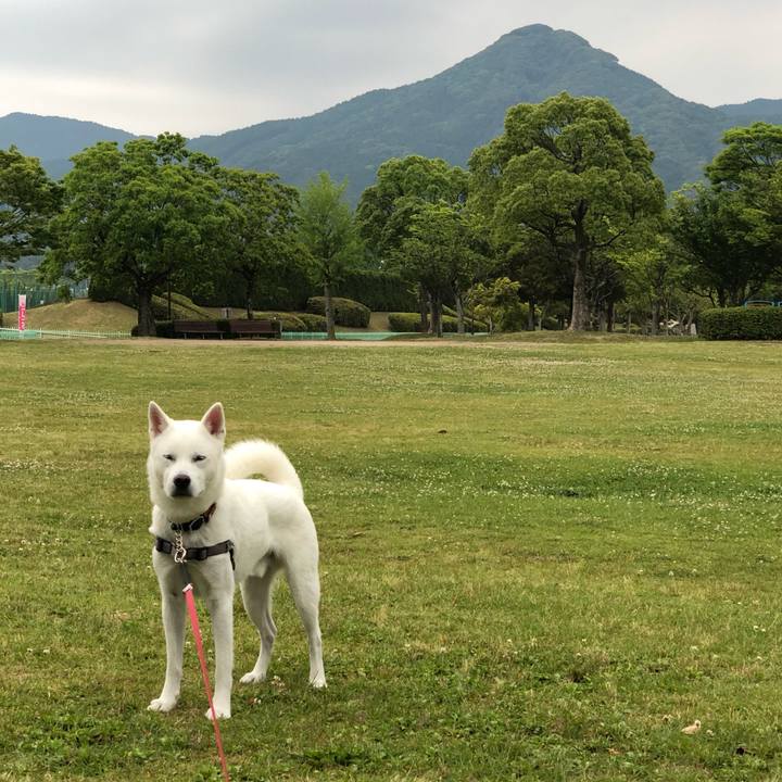 558c290b 03f8 4ef2 ad2a a3dcf1a3b30f 1559431814368