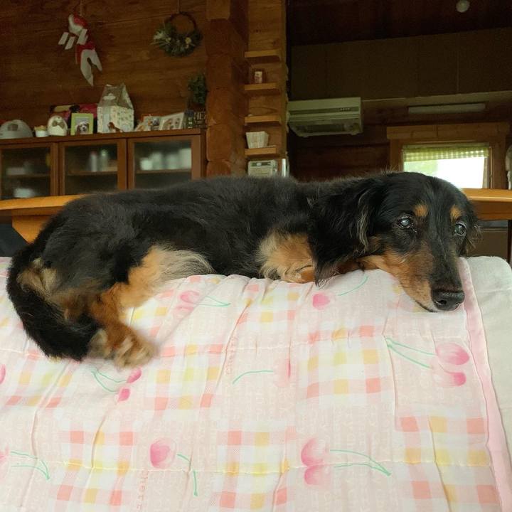 558c5ef3 7912 4f1a afd5 2abf991c048b 1630280129289