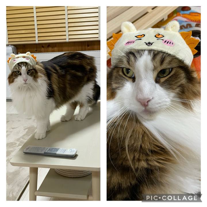 558c7c8d 5d0c 4f3b b881 8fa7aec53beb 1701156192131