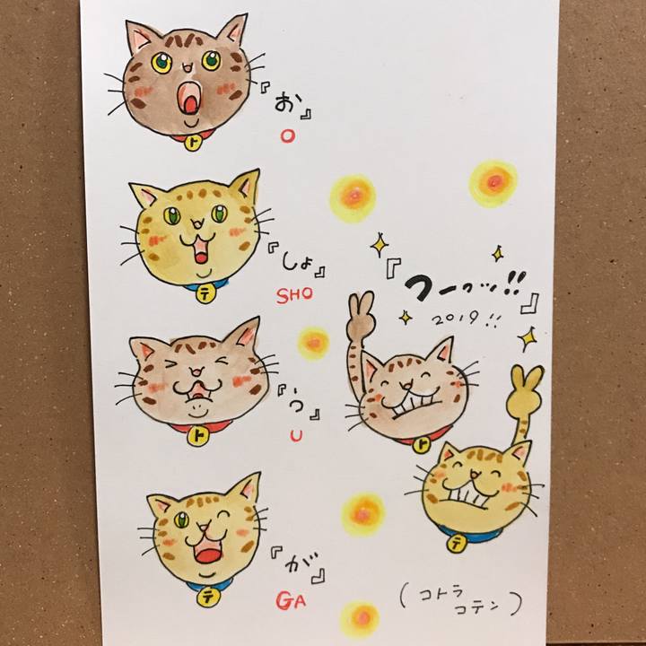 558c9c63 2db8 4f21 b204 2ab181a86eb5 1546448748589