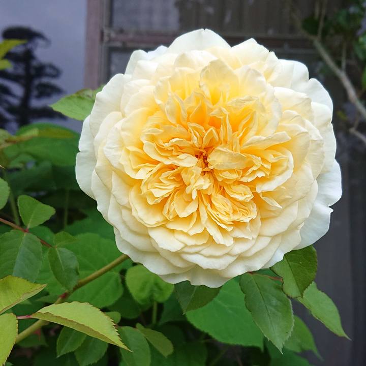 558ca081 c734 469a bd27 312a681d1f3e 1652411676096