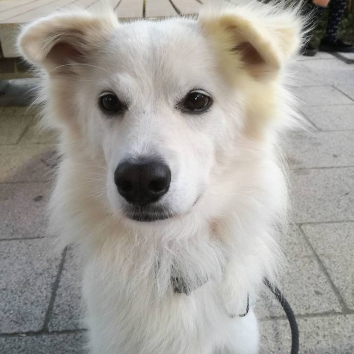 558cb881 2df4 4ad8 984f 11c660d33a49 1508922092453