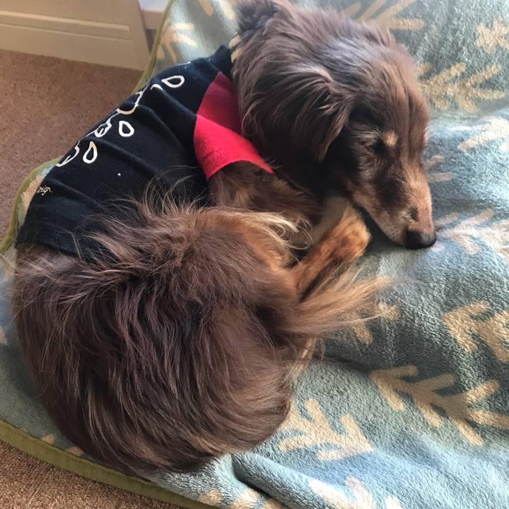 558d5b77 bdae 4d60 83b5 20337bc76c1d 1581982363283